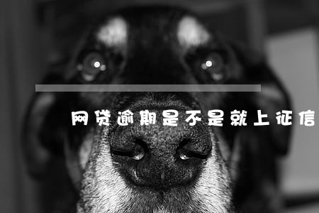 网贷逾期是不是就上征信了 网贷逾期是不是就上征信了