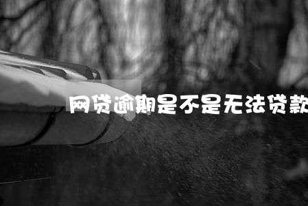 网贷逾期是不是无法贷款 网贷逾期是不是无法贷款