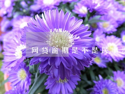网贷逾期是不是民事责任 网贷逾期是不是民事责任