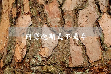 网贷逾期是不是车 网贷逾期是不是车
