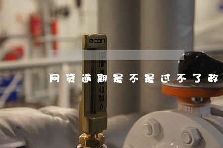 网贷逾期是不是过不了政审 网贷逾期是不是过不了政审