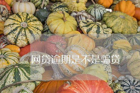 网贷逾期是不是骗贷 网贷逾期是不是骗贷