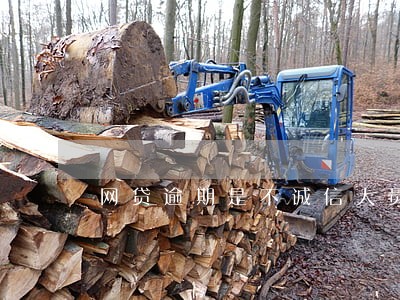 网贷逾期是不诚信人员吗 网贷逾期是不诚信人员吗