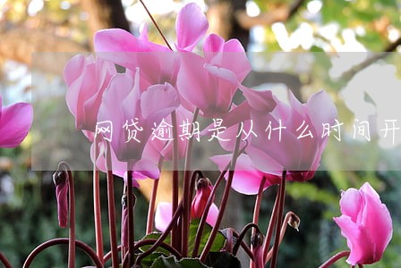 网贷逾期是从什么时间开始算 网贷逾期是从什么时间开始算