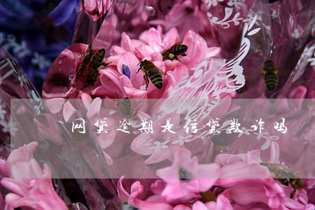 网贷逾期是信贷欺诈吗 网贷逾期是信贷欺诈吗