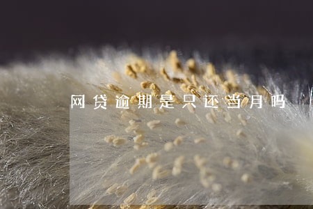网贷逾期是只还当月吗 网贷逾期是只还当月吗