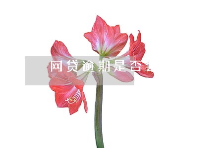 网贷逾期是否会定位 网贷逾期是否会定位