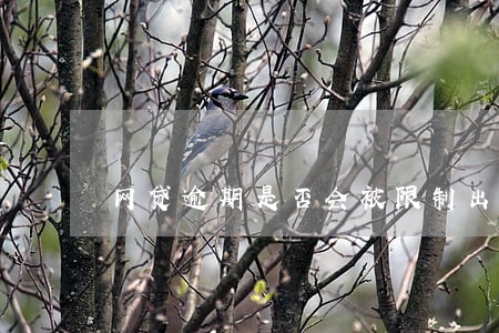 网贷逾期是否会被限制出行 网贷逾期是否会被限制出行
