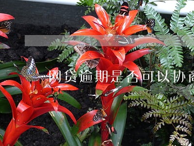 网贷逾期是否可以协商到本金以下 网贷逾期是否可以协商到本金以下