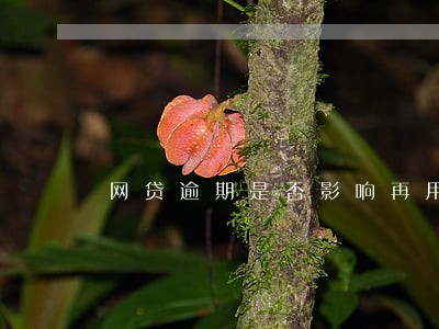 网贷逾期是否影响再用的信用卡 网贷逾期是否影响再用的信用卡