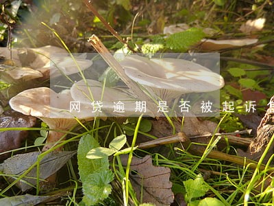 网贷逾期是否被起诉怎么查