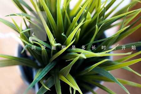 网贷逾期是多长时间开始算 网贷逾期是多长时间开始算
