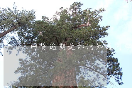 网贷逾期是如何知道同学信息的 网贷逾期是如何知道同学信息的