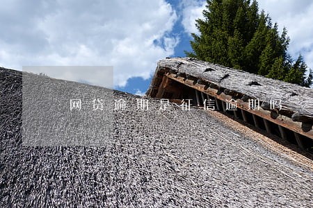 网贷逾期是征信逾期吗 网贷逾期是征信逾期吗