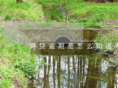 网贷逾期是怎么知道家人的电话 网贷逾期是怎么知道家人的电话