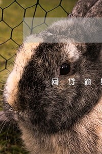 网贷逾期是怎么获取通讯录的 网贷逾期是怎么获取通讯录的