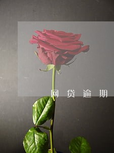 网贷逾期是案件吗 网贷逾期是案件吗