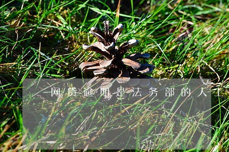网贷逾期是法务部的人上门吗 网贷逾期是法务部的人上门吗