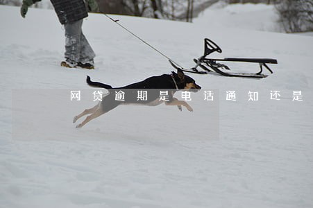 网贷逾期是电话通知还是短信通知