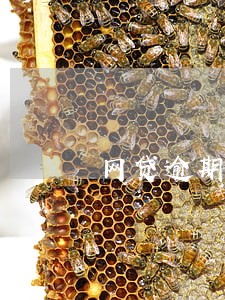 网贷逾期是立刻上征信吗 网贷逾期是立刻上征信吗