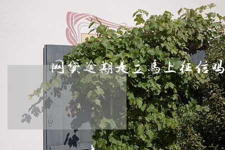 网贷逾期是立马上征信吗 网贷逾期是立马上征信吗