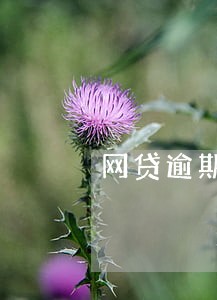 网贷逾期是金融诈骗吗 网贷逾期是金融诈骗吗