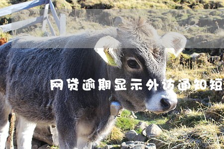 网贷逾期显示外访通知短信 网贷逾期显示外访通知短信