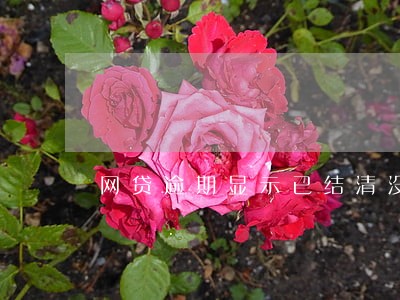 网贷逾期显示已结清没有代偿 网贷逾期显示已结清没有代偿