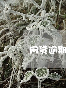 网贷逾期显示已还