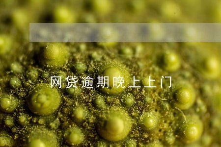 网贷逾期晚上上门 网贷逾期晚上上门