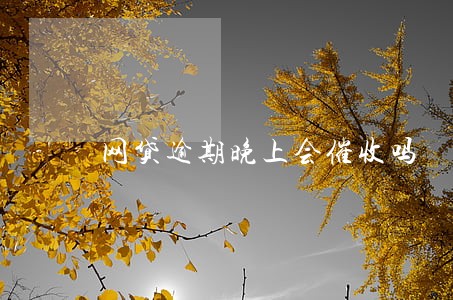 网贷逾期晚上会催收吗 网贷逾期晚上会催收吗