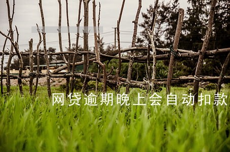 网贷逾期晚上会自动扣款吗 网贷逾期晚上会自动扣款吗