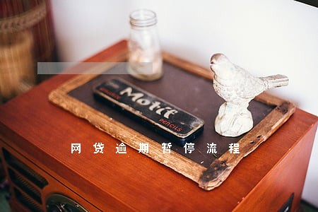 网贷逾期暂停流程 网贷逾期暂停流程