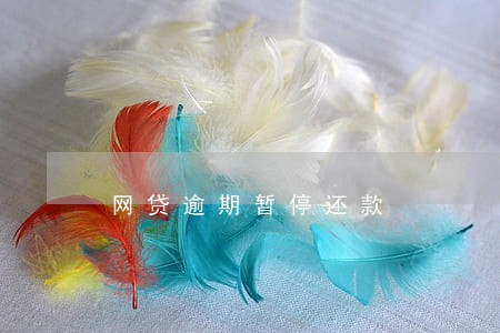 网贷逾期暂停还款 网贷逾期暂停还款