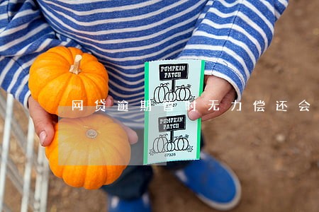 网贷逾期暂时无力偿还会怎样 网贷逾期暂时无力偿还会怎样