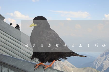 网贷逾期暂时还上了影响大么 网贷逾期暂时还上了影响大么