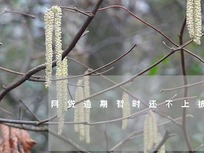 网贷逾期暂时还不上被爆通讯录 网贷逾期暂时还不上被爆通讯录