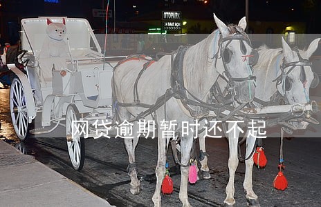 网贷逾期暂时还不起
