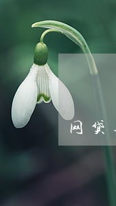 网贷逾期暴力催收合法吗 网贷逾期暴力催收合法吗