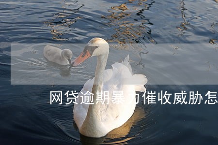 网贷逾期暴力催收威胁怎么办