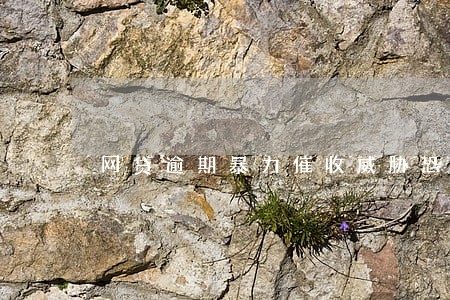 网贷逾期暴力催收威胁恐吓 网贷逾期暴力催收威胁恐吓