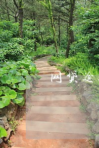 网贷逾期暴力催收新闻 网贷逾期暴力催收新闻