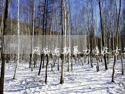 网贷逾期暴力催收方案 网贷逾期暴力催收方案