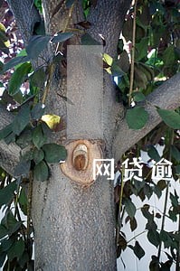 网贷逾期暴力崔收怎么办 网贷逾期暴力崔收怎么办