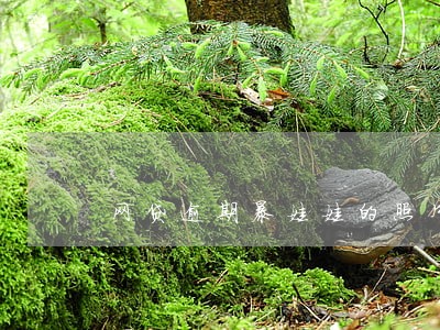 网贷逾期暴娃娃的照片 网贷逾期暴娃娃的照片