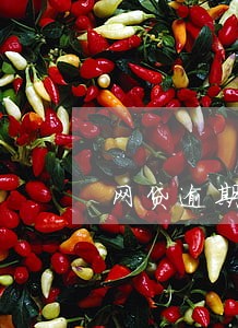 网贷逾期暴打公司电话
