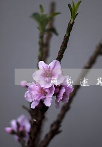 网贷逾期暴打通讯录