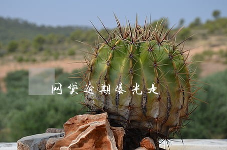 网贷逾期曝光是 网贷逾期曝光是