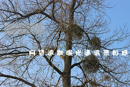 网贷逾期曝光通讯录如何投诉 网贷逾期曝光通讯录如何投诉