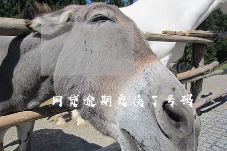 网贷逾期更换了号码 网贷逾期更换了号码